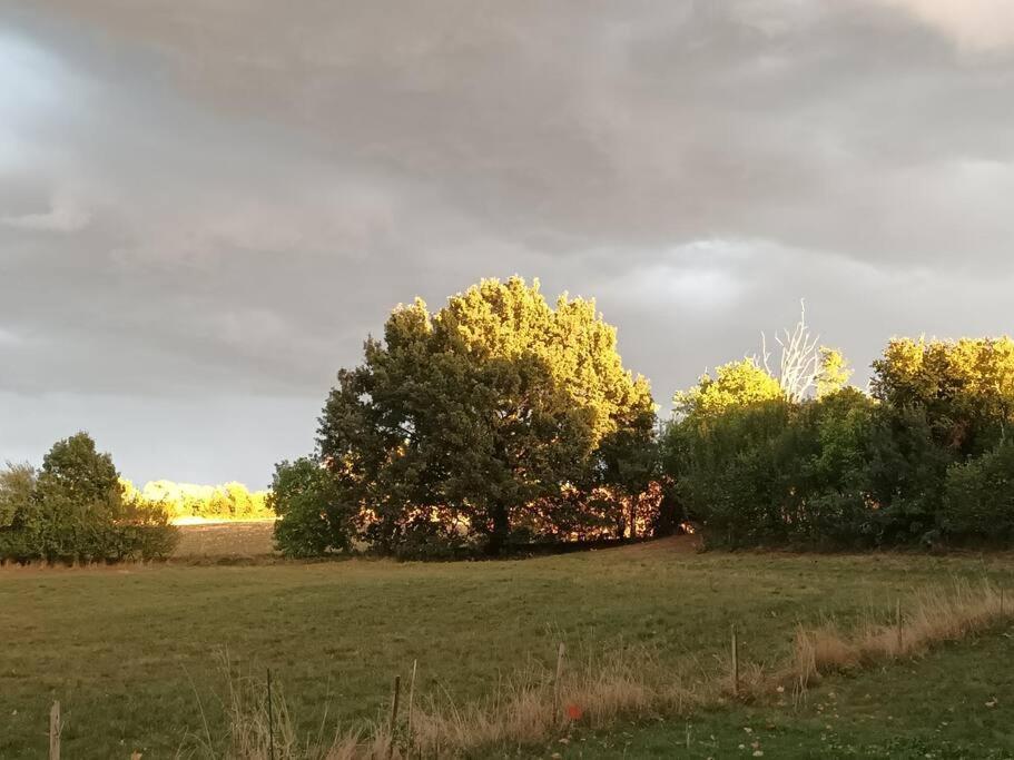 Charmant Studio Avec Jardin A La Campagne Sur Le Chemin De Saint Jacques De Compostelle Διαμέρισμα Lauzerte Εξωτερικό φωτογραφία