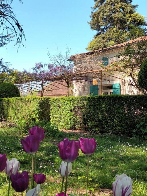Charmant Studio Avec Jardin A La Campagne Sur Le Chemin De Saint Jacques De Compostelle Διαμέρισμα Lauzerte Εξωτερικό φωτογραφία